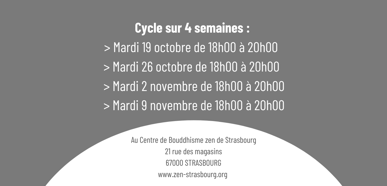 cycle d'introduction - programme 