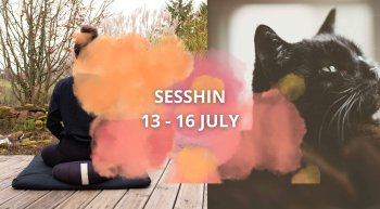 Sesshin 13 - 16 July