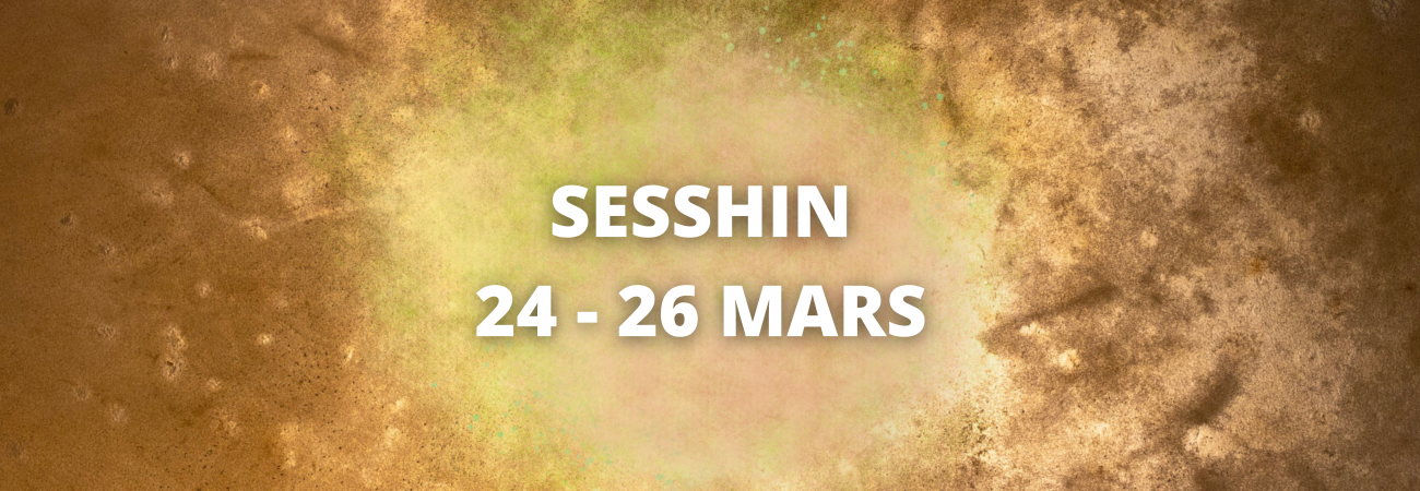 Sesshin 24 - 26 mars