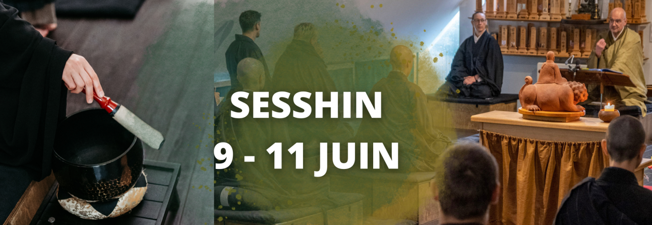 Sesshin 9 - 11 juin