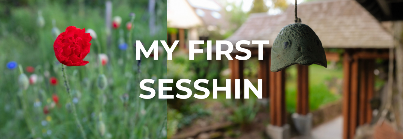 My First Sesshin