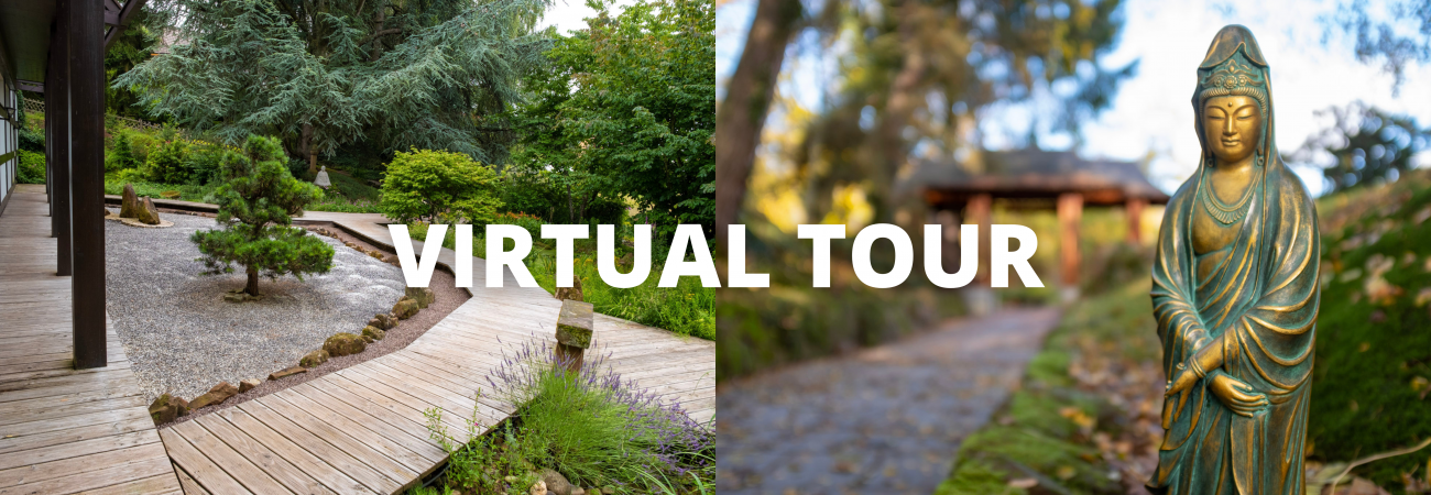 Virtual Tour