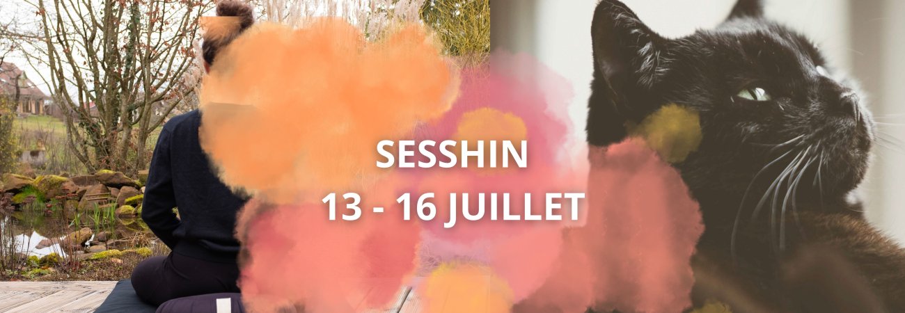 Sesshin 13 - 16 juillet